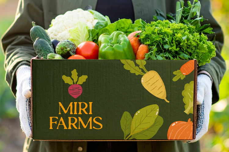 Miri Farms project preview