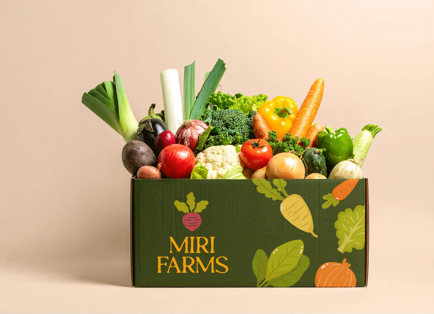 Packaging: Bpx01